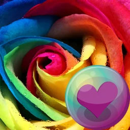 Ikon Beautiful Roses HD Wallpapers